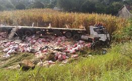Caminhoneiro sofre ferimentos leves em tombamento na SC-161
