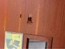 Pai invade escola em SC e soca aluno: ‘achamos que era um massacre’