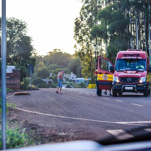 Atropelamento de cachorro deixa mulher ferida em SMOeste