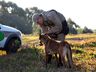 Após dez anos de serviço, cão policial Thor se aposenta em São Miguel do Oeste