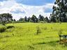 OUÇA: Peperi anuncia projeto para Parque Florestal na Linha Emboaba