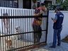 IBGE faz "última chamada" para quem ainda não respondeu ao Censo; veja como participar