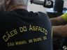 SMO: Grande procura leva Motocão a organizar áreas de camping para visitantes