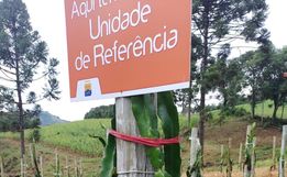 Aluno egresso da Casa Familiar Rural tem projeto aprovado em Feira Nacional e avança de etapa