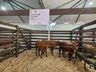 Parque de exposições começa receber animais para 11ª Efrait