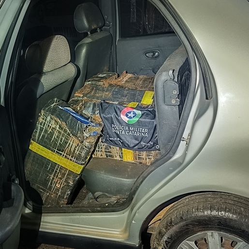 PM apreende mais de 320 kg de maconha e prende jovem por tráfico em Campo Erê 