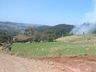 Incêndio florestal mobiliza bombeiros em São José do Cedro