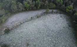 São Miguel do Oeste registra 0°C e Belmonte chega a -1,4°C