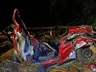 5 morrem após toras de eucalipto caírem de caminhão sobre carros