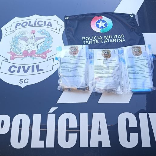 Menor de 17 anos é apreendido por posse irregular de arma de fogo e munições em Campo Erê