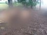 Raio mata oito vacas em propriedade no interior de Itapiranga