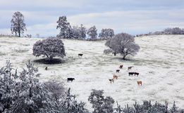 Primeira neve do ano em SC pode chegar nesta terça-feira devido a combo climático