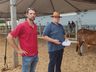 Primeiros animais da Expo Guarujá já desembarcaram nos espaços