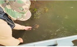 Polícia Ambiental apreende material de pesca no Rio Uruguai