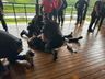 Policiais penais e civis participam de capacitação em São Miguel do Oeste 