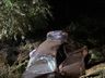 Colisão frontal seguida de capotamento deixa três feridos na BR-163
