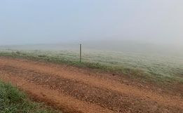 FOTOS: Internautas e ouvintes registram geada em municípios da região