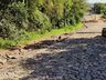 Obras de pavimentação rural e construção de campo sintético seguem em São José do Cedro