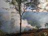 Incêndio em vegetação mobiliza bombeiros de Itapiranga