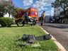 Motociclista fica ferido em colisão no centro de São Miguel do Oeste 