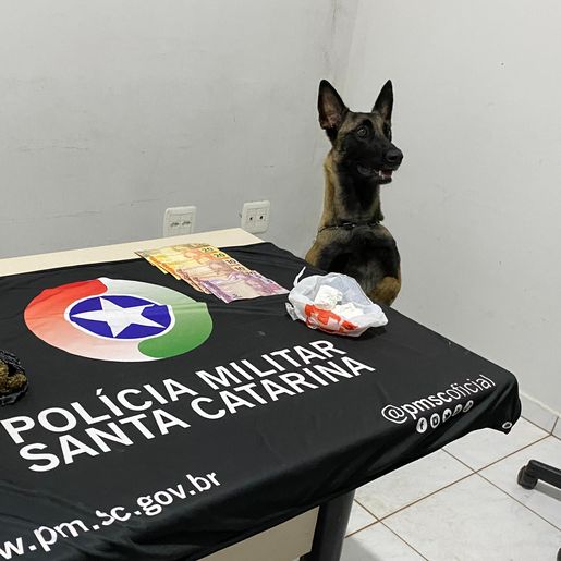 Homem é preso por tráfico de drogas em São Miguel do Oeste