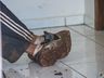 Polícia Militar prende homem por furto em São Miguel do Oeste
