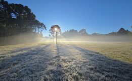 Terça-feira começa com temperaturas negativas e geada ampla em SC