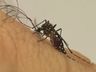 Guarujá do Sul confirma primeira morte por dengue