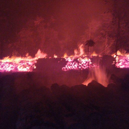 Incêndio florestal mobiliza Corpo de Bombeiros por quatro horas 