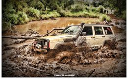 Trilha inédita dos Tigres Off Road reuniu mais de 200 participantes