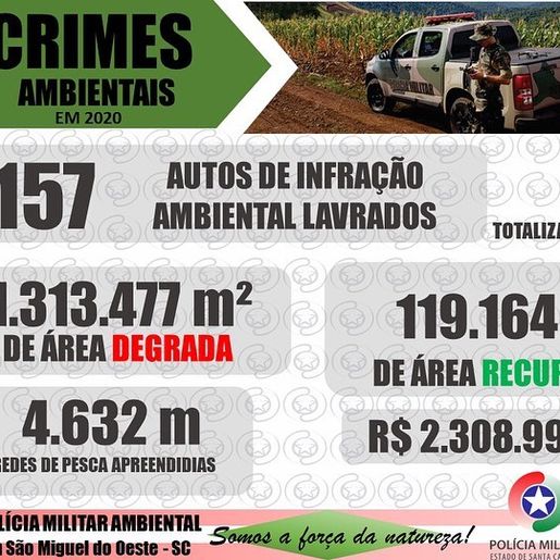 Área desmatada na região Extremo Oeste é muito superior a área recuperada nos últimos anos
