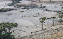 Defesa Civil emite alerta para nova onda de frio com mínima de -4°C e geada em SC 