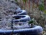 Outono trará primeiras massas de ar frio a Santa Catarina em 2022