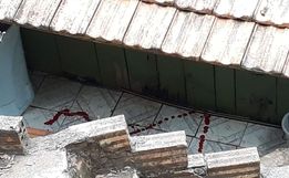 Marido atira contra companheira e outro homem e comete suicídio em Seara