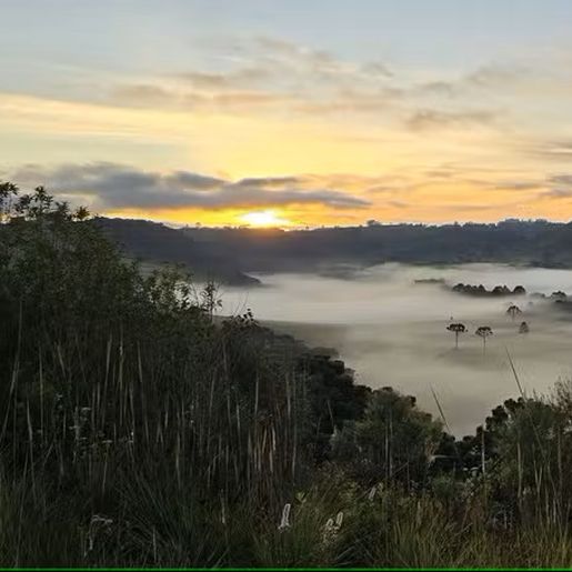 SC tem amanhecer com temperatura abaixo de 3°C nesta terça-feira