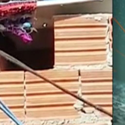 Após caso de menino em tonel, saiba como denunciar maus-tratos