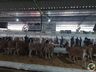 Grande público é aguardado para o último dia da 15ª Efacitus