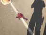 Mulher morre atropelada no centro da cidade 