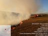 Bombeiros combatem incêndio em lavoura de trigo 