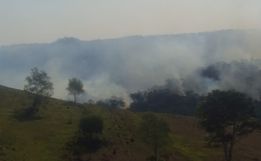Incêndio florestal de grandes proporções é registrado no mato da Argentina