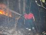 Morador reclama de queimadas constantes em área de reflorestamento de SMOeste 