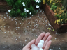 Temporal com chuva de granizo causa estragos na região Extremo-Oeste catarinense