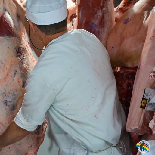 Brasil suspende exportações de carne à China com confirmação de caso de "vaca louca"