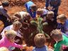 Alunos plantam araucária no Dia Mundial do Meio Ambiente