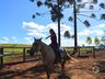 VÍDEO: Relação entre humanos e cavalos traz benefícios para o corpo e mente 