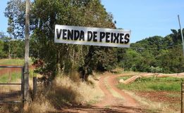 Venda de peixes para a Semana Santa já está em andamento em São Miguel do Oeste