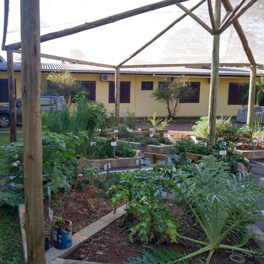 Implantação de hortos com plantas medicinais inicia na próxima semana em São José do Cedro