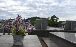 Campanha em Descanso pede atenção com a dengue durante visitas aos cemitérios