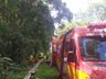 Saída de pista na SC-157 deixa dois idosos feridos