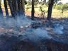 VÍDEO: Aumento de incêndios deixa capacidade de atendimento dos bombeiros no limite 